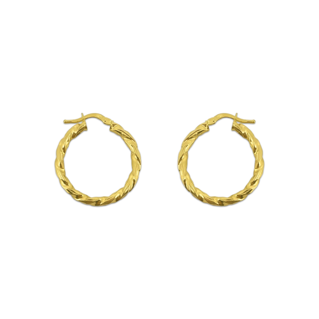 Bold Twisty Hoops