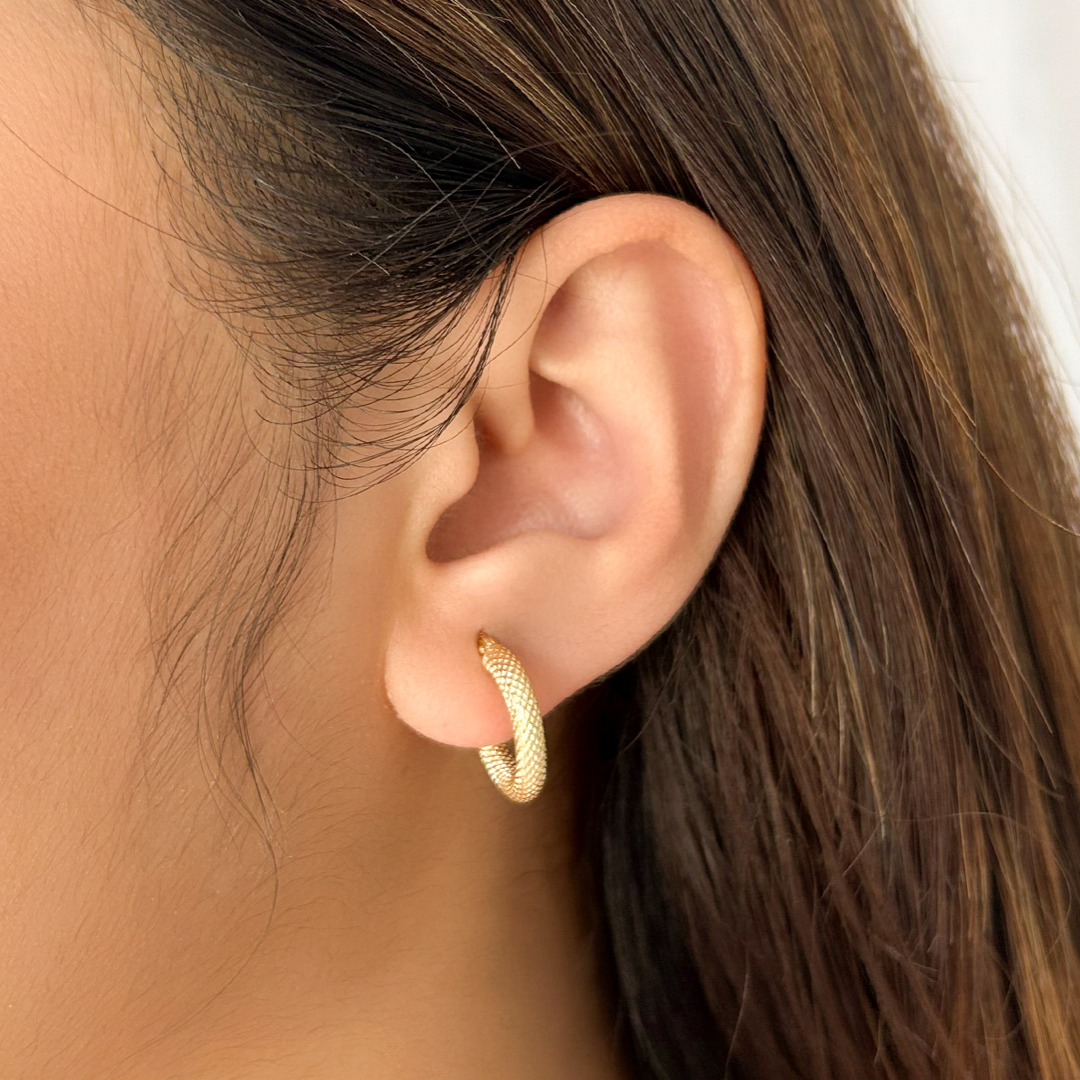Mini Scaled Hoops