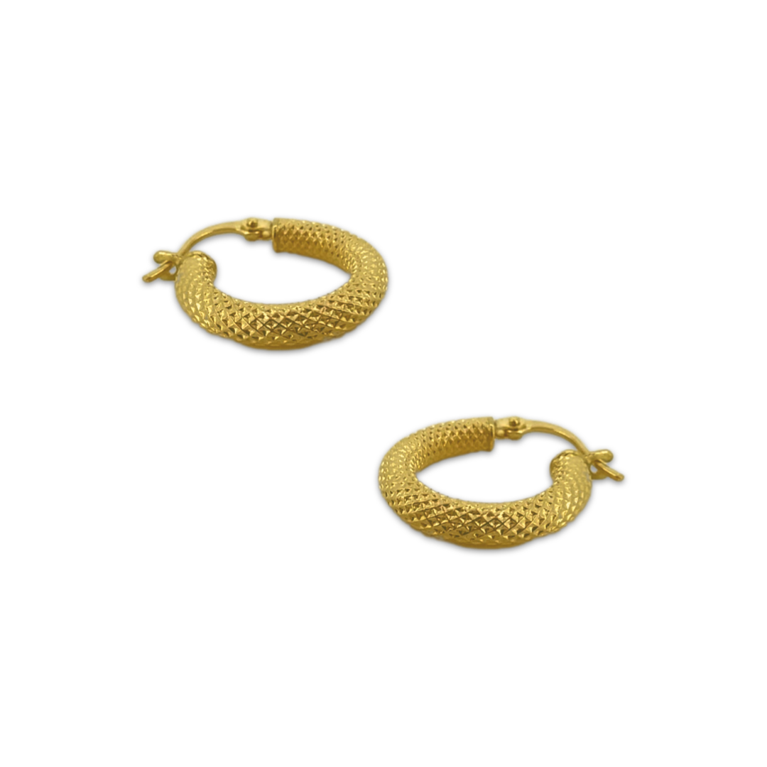 Mini Scaled Hoops