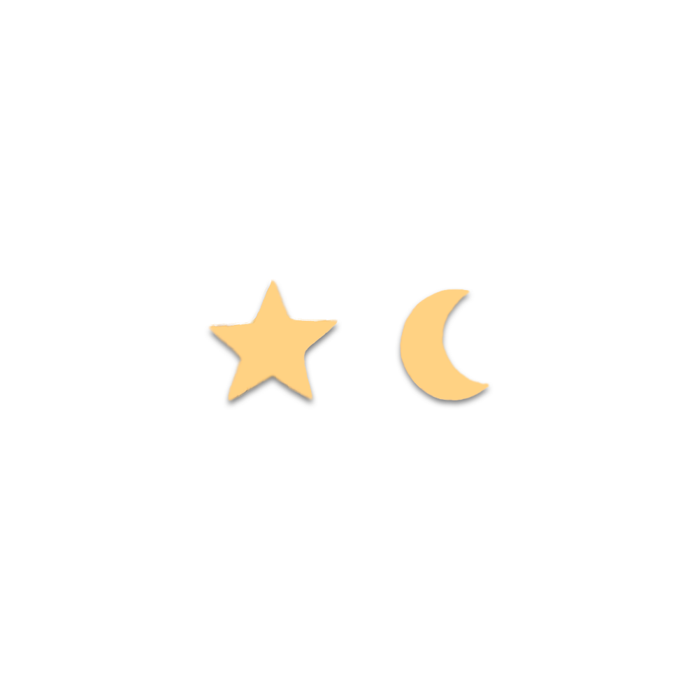 Moon & Star Studs